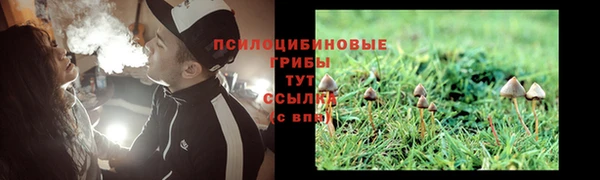 индика Снежинск