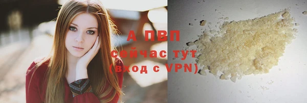 гидра Семилуки