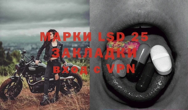 не бодяженный Снежногорск