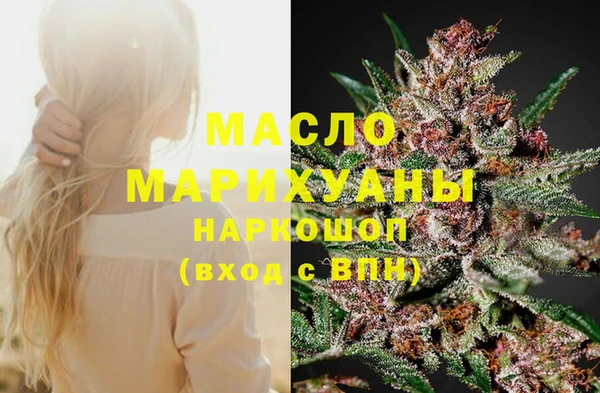 индика Снежинск