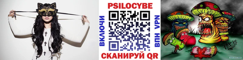 Галлюциногенные грибы Psilocybe  Купить закладки  Зерноград 